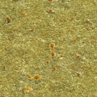 Структура камня Awaseto. Увеличение х360 Структура камня Awaseto. Увеличение х360